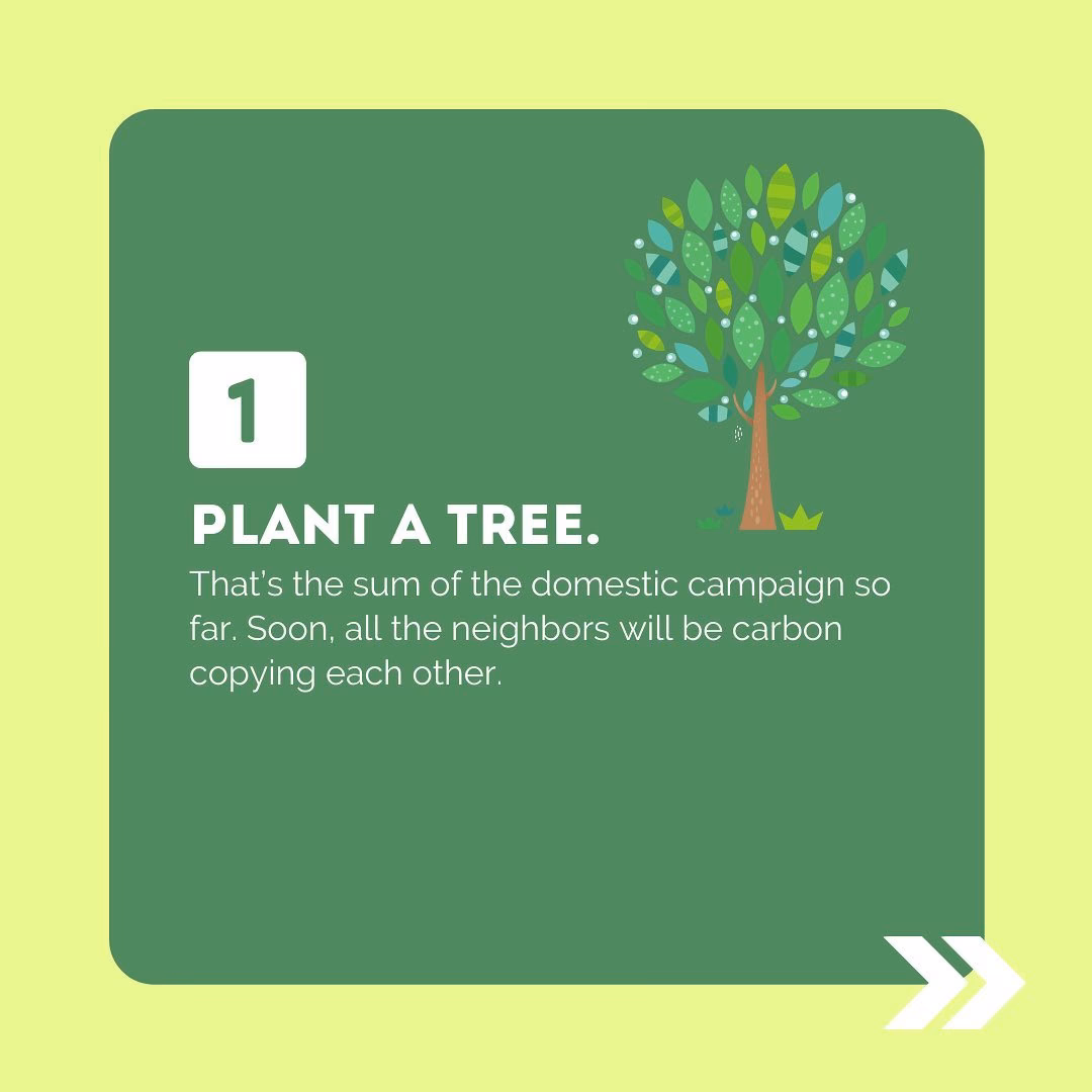 How can we address deforestation?