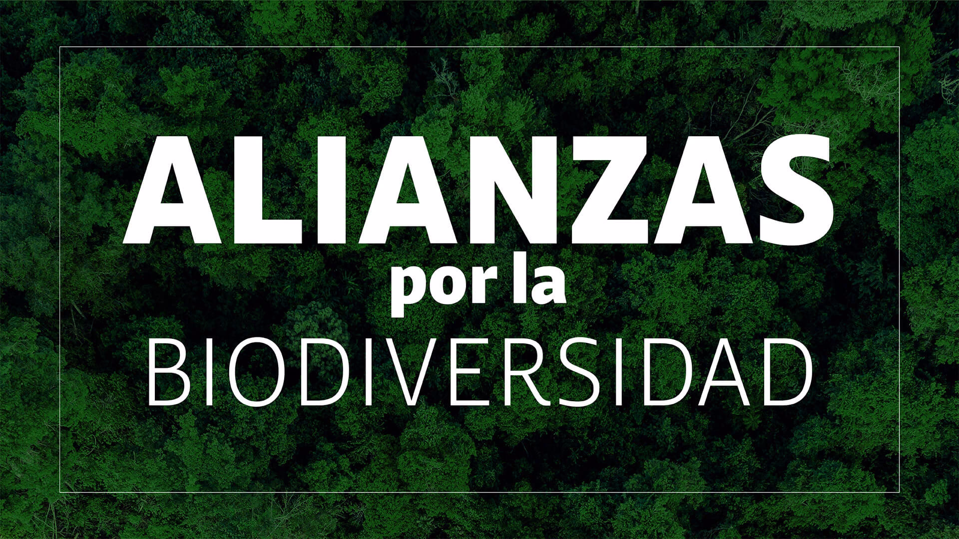 ¿Quiénes son los protagonistas de la Semana Sostenible en vivo?
