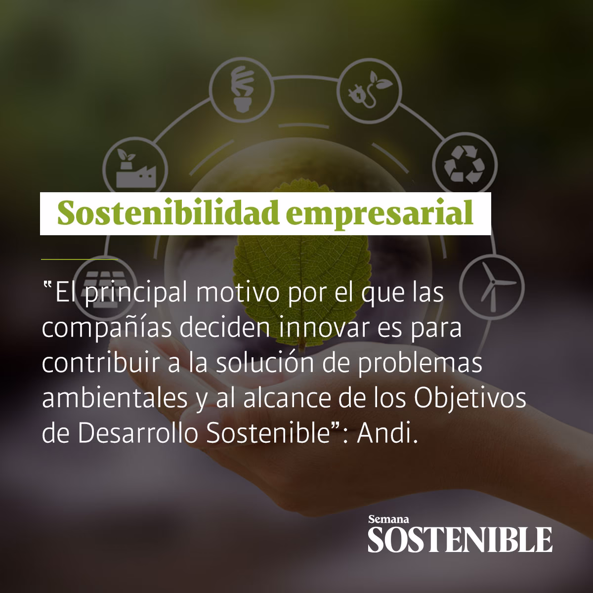 ¿Cuándo es la semana de la sostenibilidad 2024?