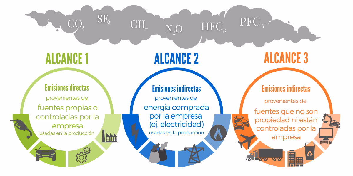 ¿Cómo evaluar la huella de carbono de una empresa?