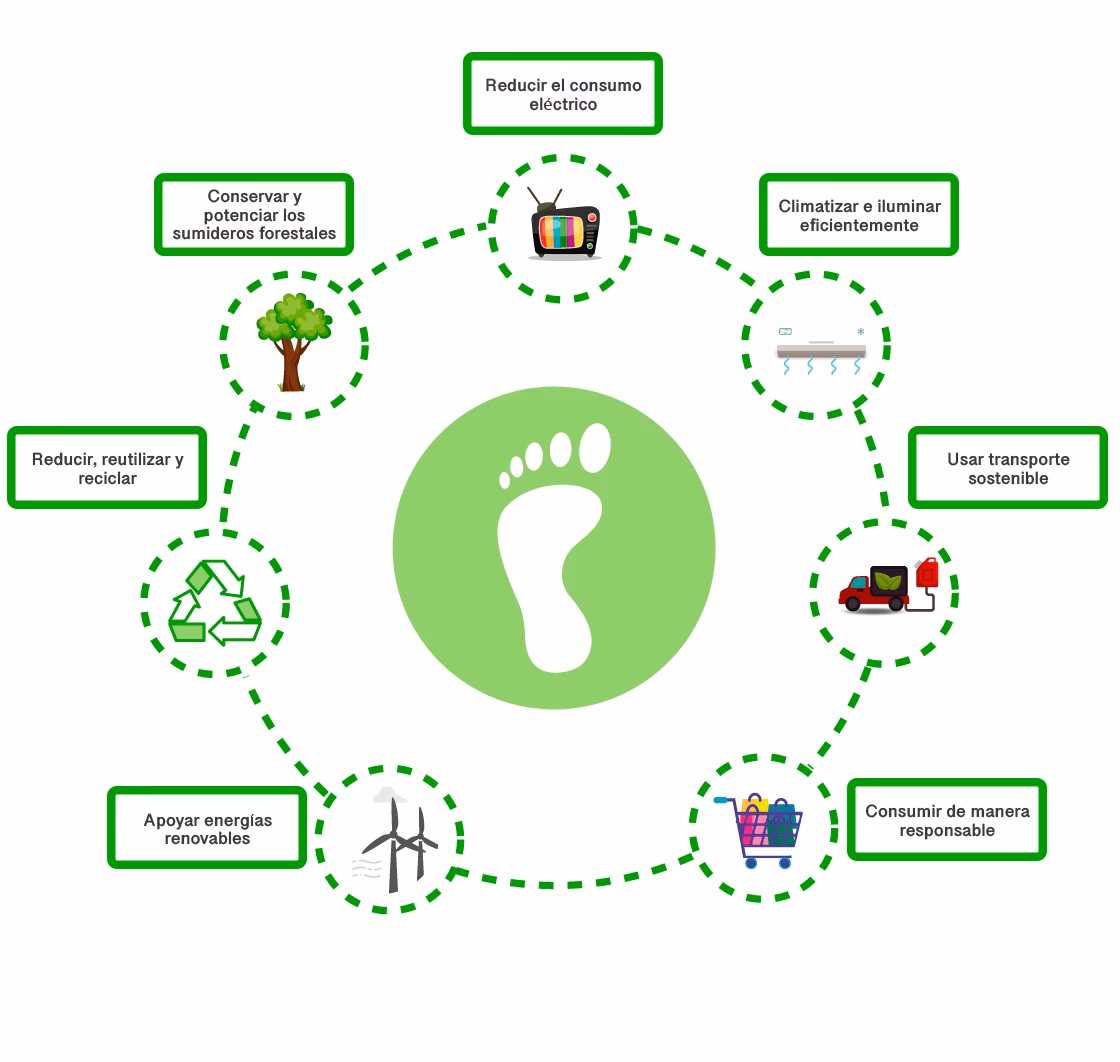 ¿Qué es la huella hídrica y ecológica?
