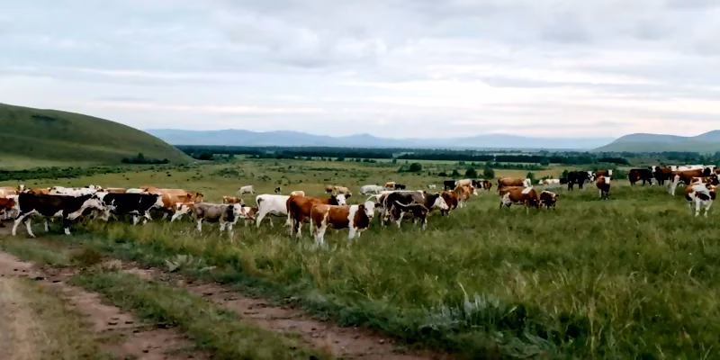 ¿Qué es el registro de huella de carbono?