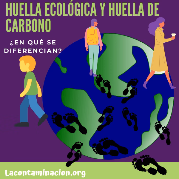 ¿Cómo reducir la huella de carbono?