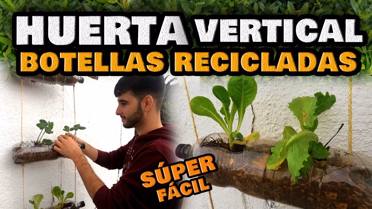 ¿Qué vegetales puedo cultivar en un balcón?