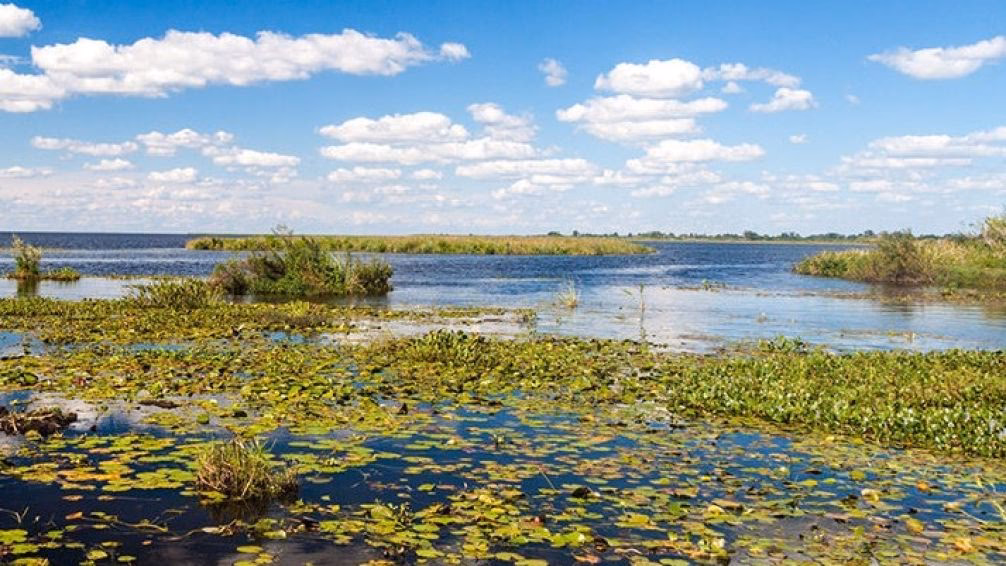 ¿Cuál es la situación actual de los humedales en Argentina?