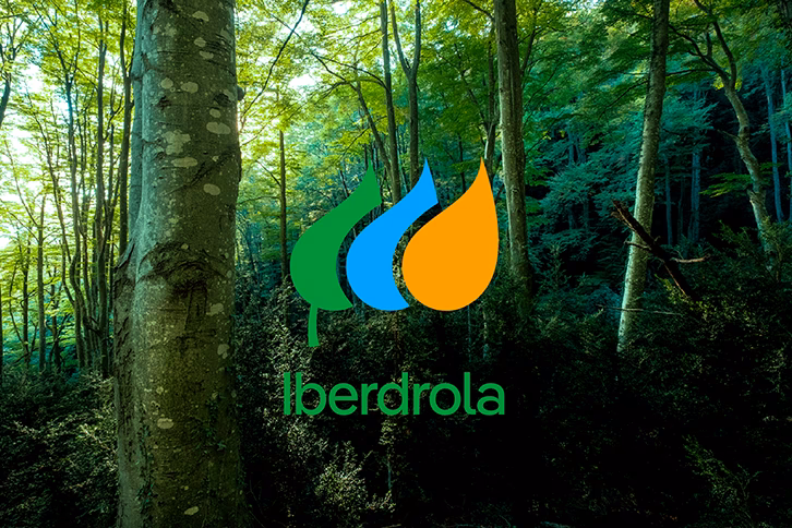 ¿Cuáles son los criterios de sostenibilidad de Iberdrola?