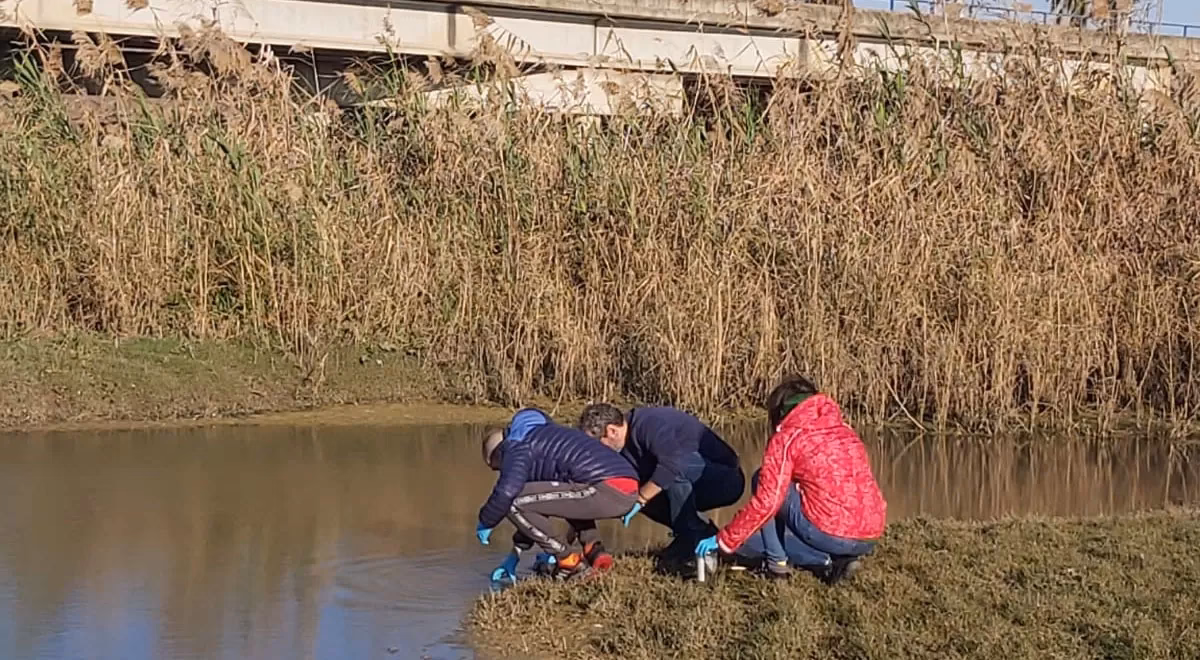 ¿Cómo afecta el ibuprofeno al medio ambiente?