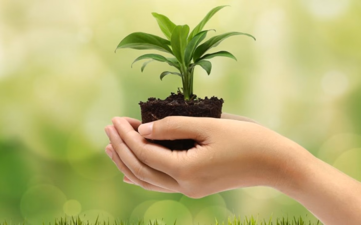 ¿Cuál es el impacto negativo de la institución estudiada en el medio ambiente?