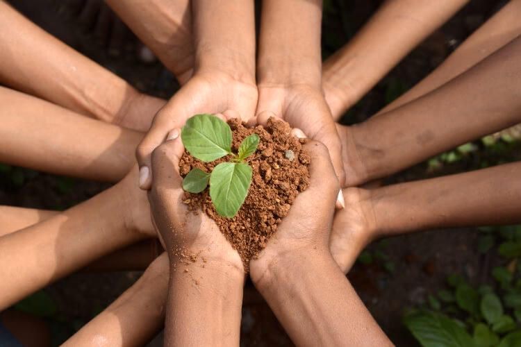 ¿Qué es ICR ambiental?