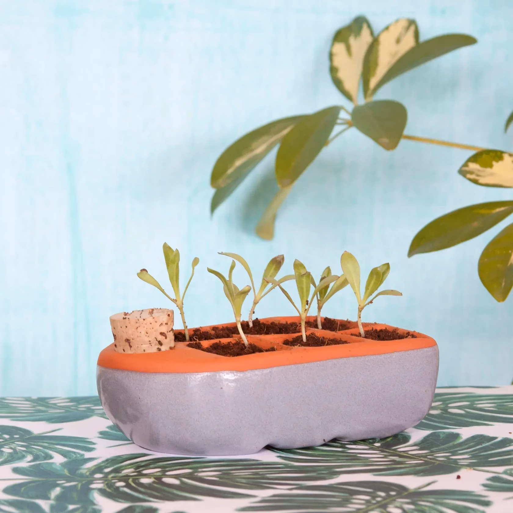 ¿Cómo crear productos sostenibles y amigables con el medio ambiente?