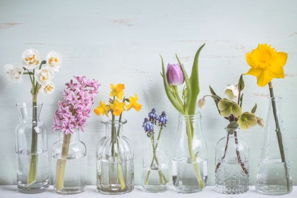 ¿Qué se debe hacer antes de depositar botellas de vidrio en el cubo de reciclaje?