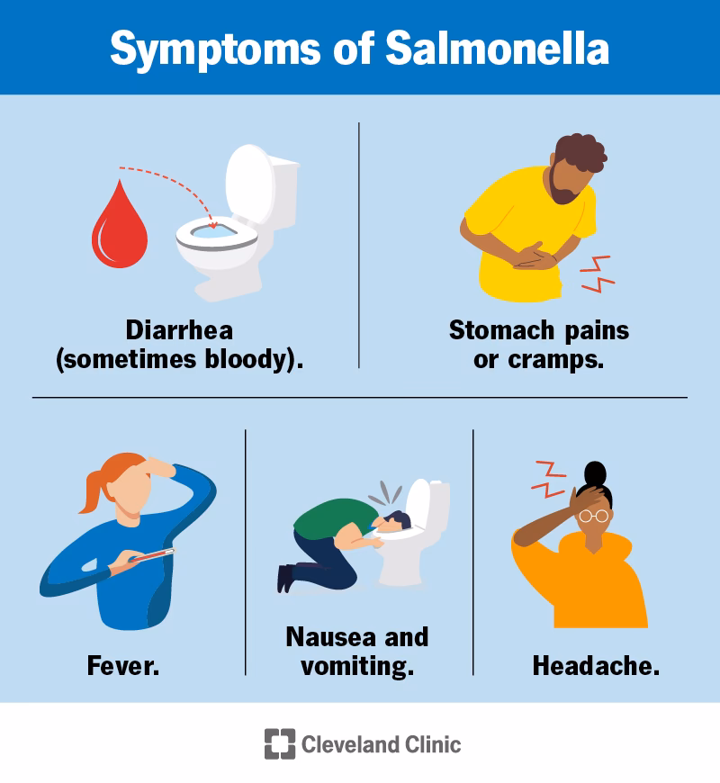 Can eating contaminated food cause a bacterial infection?