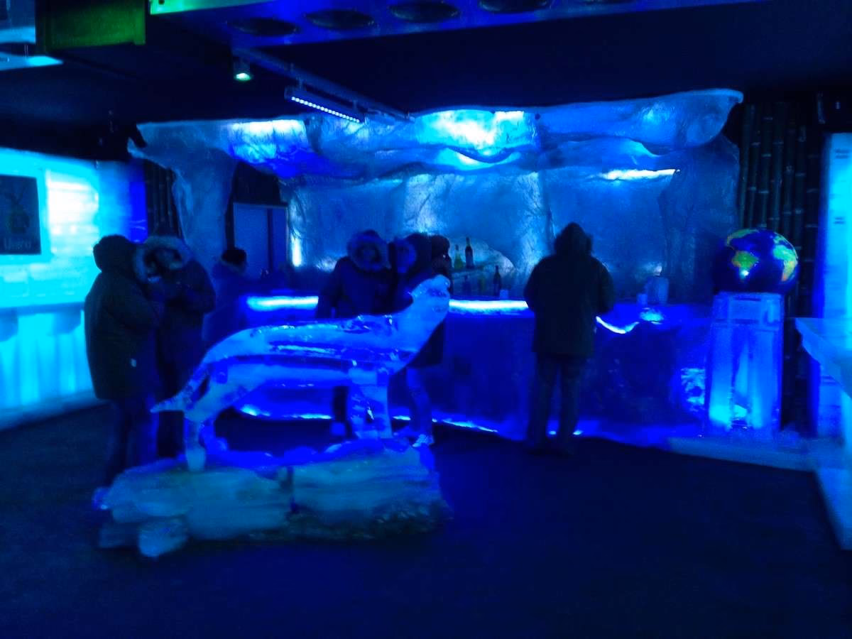 ¿Cómo evitar la contaminación cruzada del hielo?