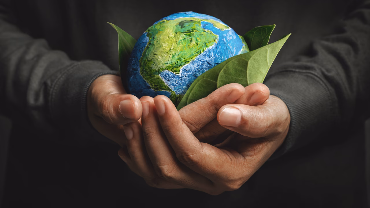 ¿Cómo contribuir al cuidado del Medio Ambiente?