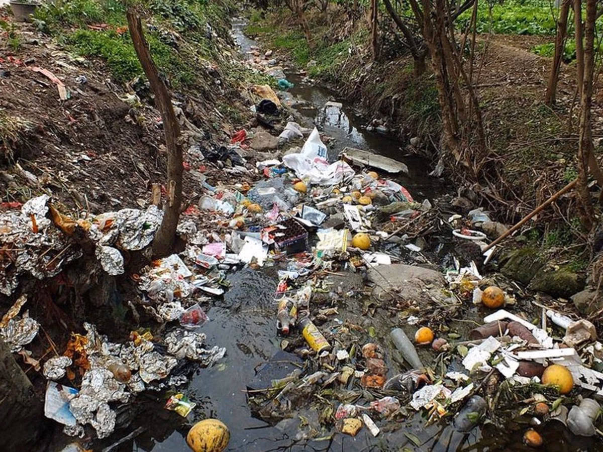 ¿Cuáles son las consecuencias de la basura?