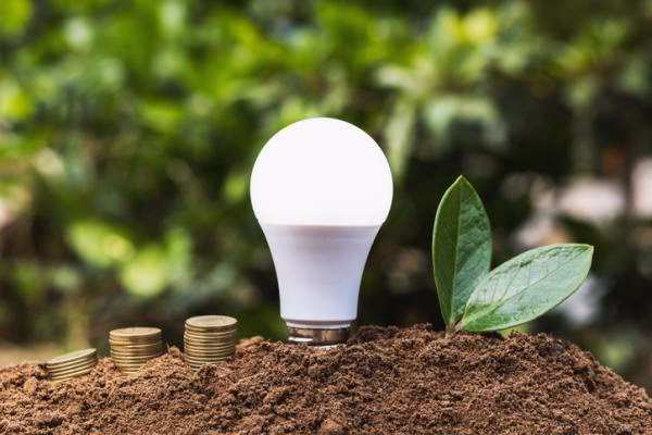 ¿Cómo afectan los focos LED al medio ambiente?