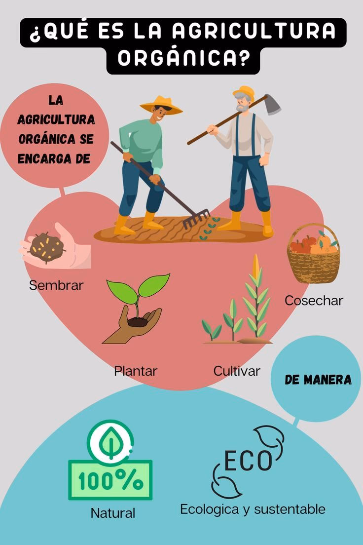 ¿Cómo introducir a los niños a la agricultura?