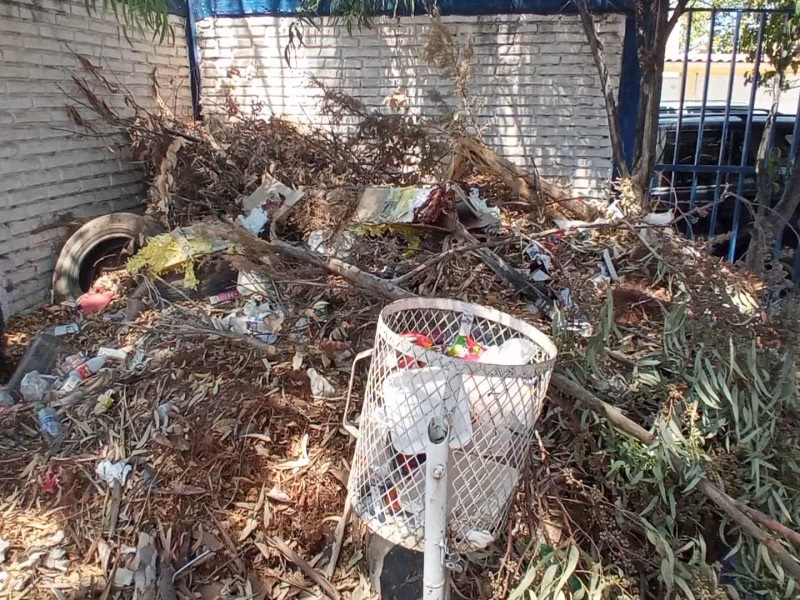 ¿Cuáles son los objetivos de la Escuela de contaminación ambiental?