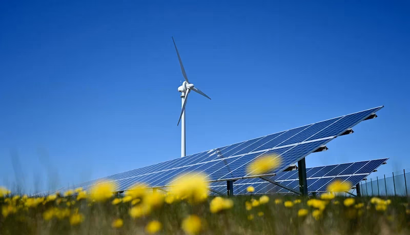 ¿Cuáles son las energías renovables más utilizadas en la actualidad?