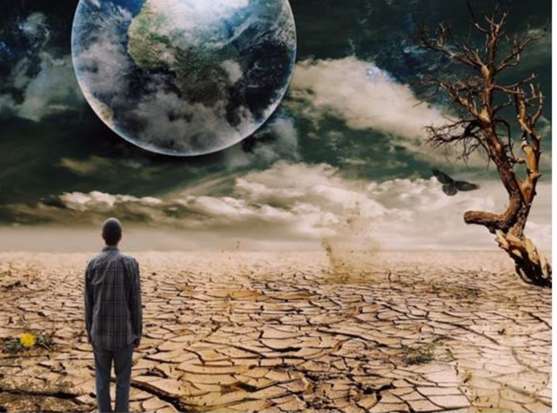 ¿Quién es el culpable del cambio climático?