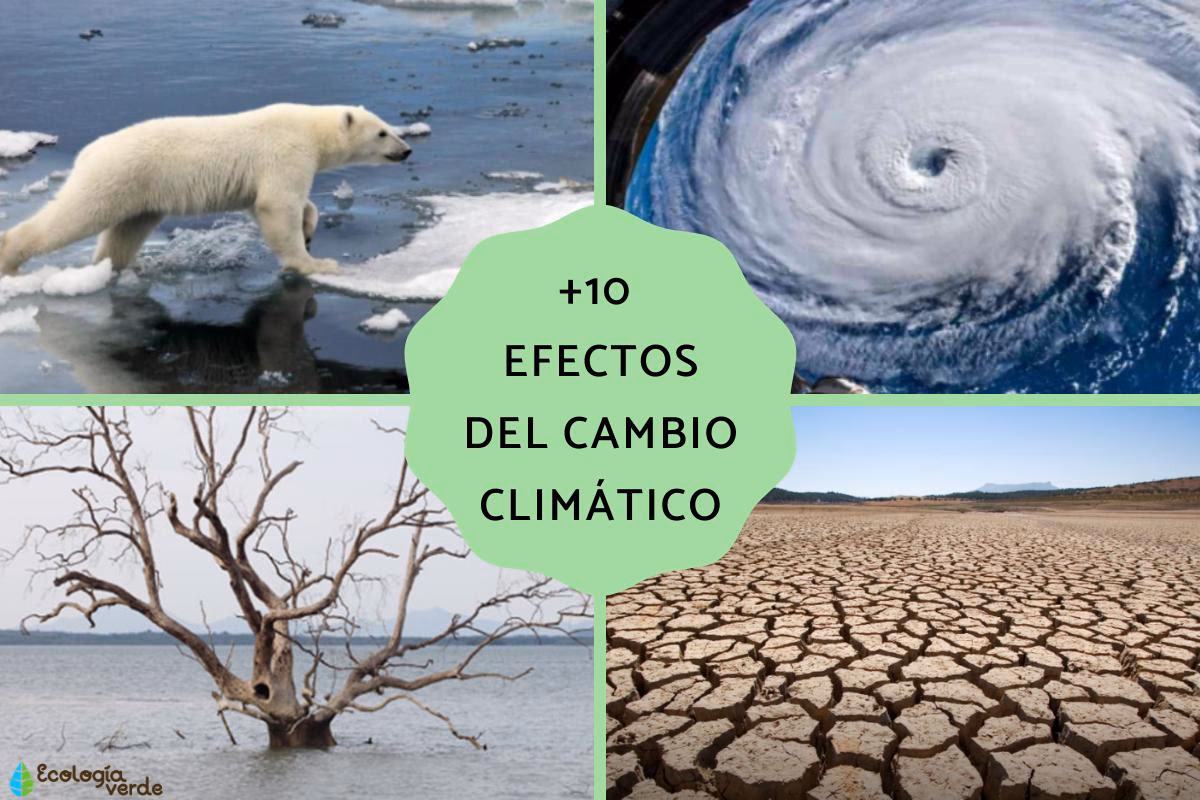 ¿Cómo afecta el hombre al cambio climático?