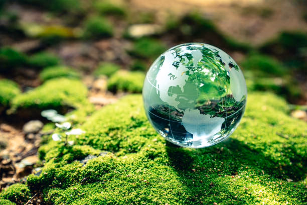 ¿Por qué la Copa es respetuosa con el medio ambiente?