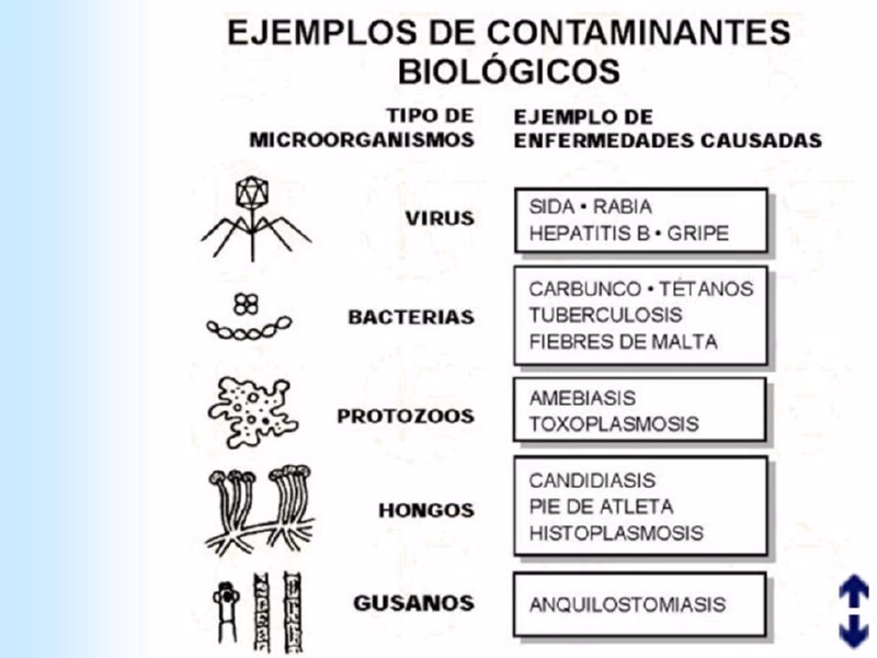 ¿Qué son los agentes contaminantes biológicos?