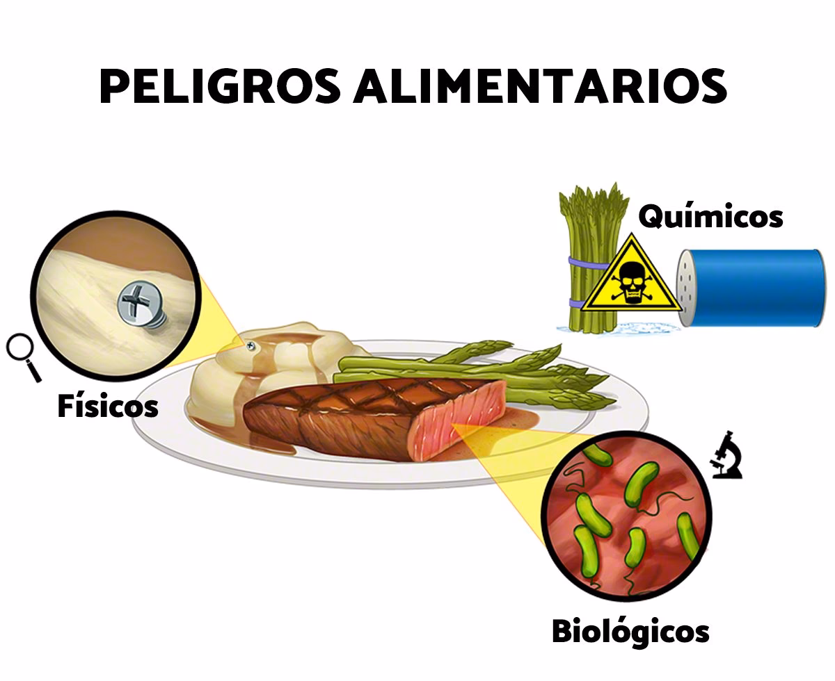 ¿Cuáles son los factores ambientales físicos, químicos y agentes biológicos que contaminan los alimentos?