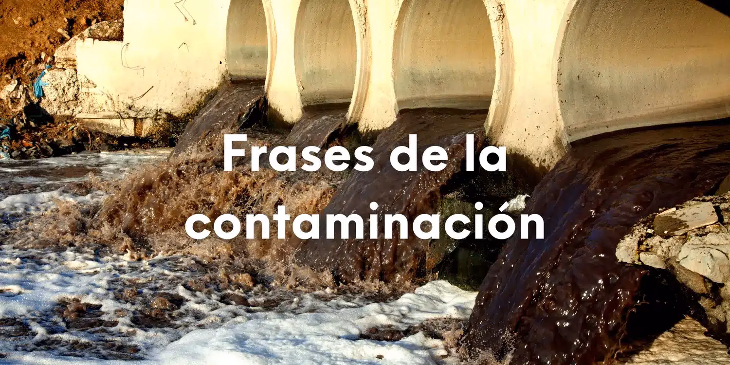 ¿Dónde puedo ver fotos de agua contaminada?