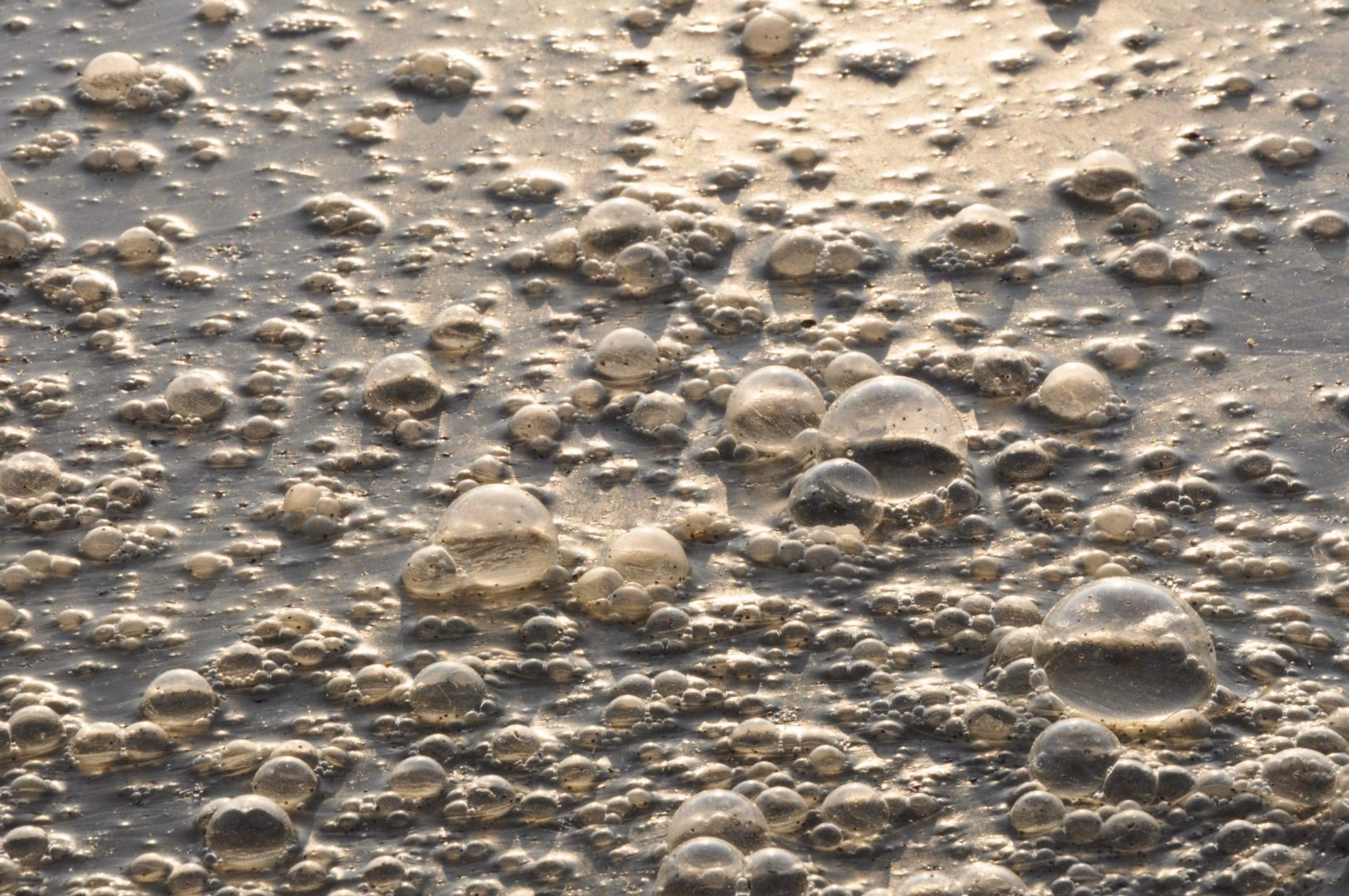 ¿Cuáles son las consecuencias de beber agua contaminada con pesticidas?