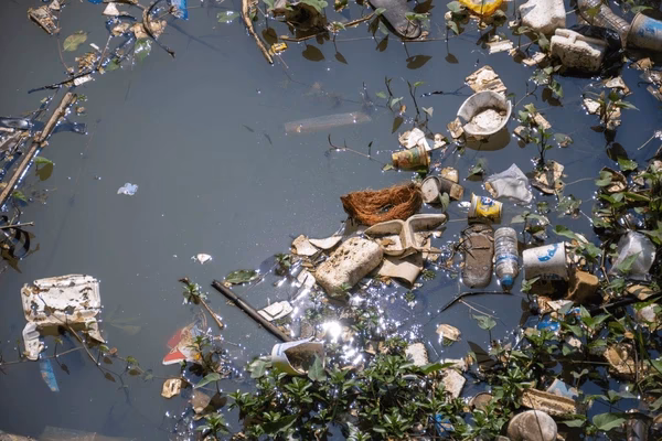 ¿Cuáles son las enfermedades causadas por la contaminación del agua?