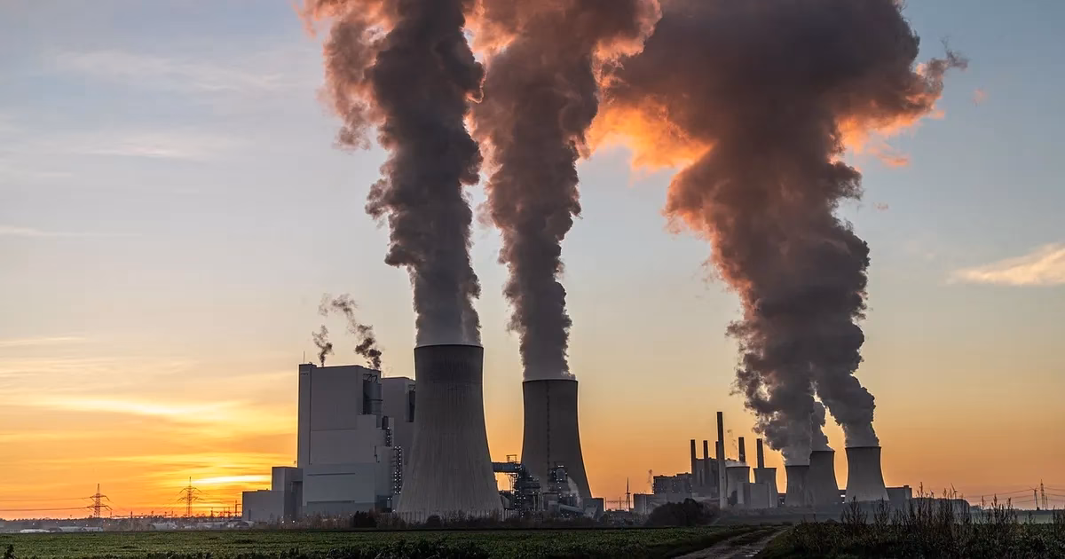 ¿Por qué el aire puro es más saludable que el contaminado?