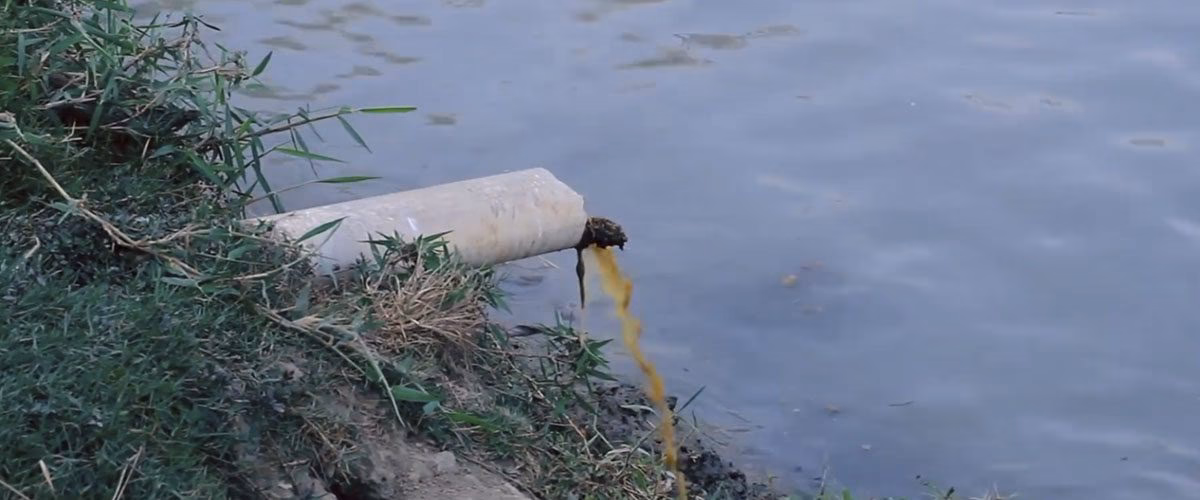 ¿Cuáles son las causas de la contaminación del agua?