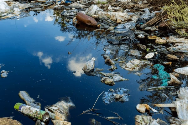 ¿Cuáles son los ambientes más contaminados enColombia?