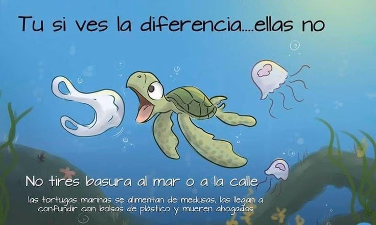 ¿Cómo saber si un animal está contaminado?