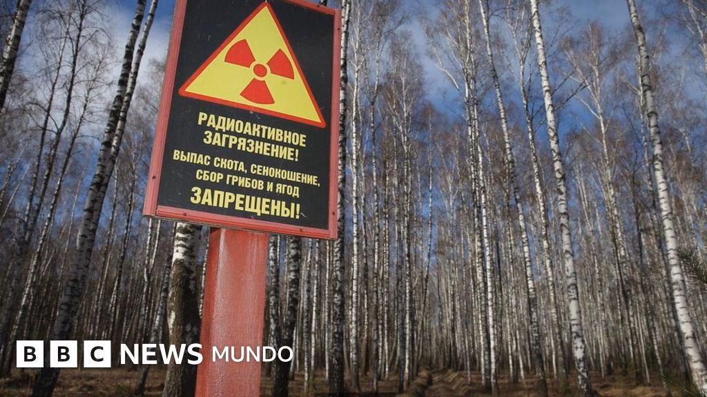 ¿Cómo afecta la radiación nuclear a los árboles?