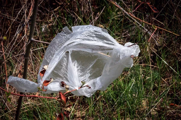 ¿Por qué se desalientan las bolsas de nylon?