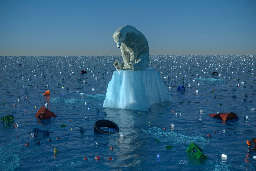 ¿Cómo ha afectado el calentamiento global a la vida marina?