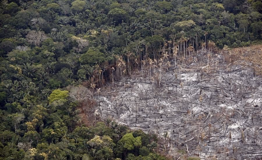 ¿Cómo afecta el cambio climático a los incendios forestales?
