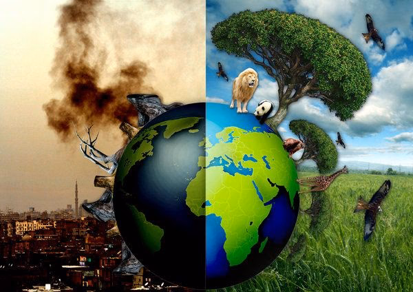 ¿Cuáles son los impactos del cambio climático?