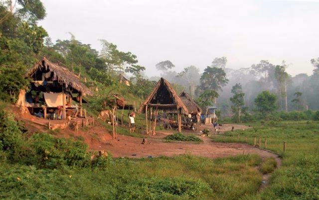 ¿Cuál es la superficie deforestada en México?