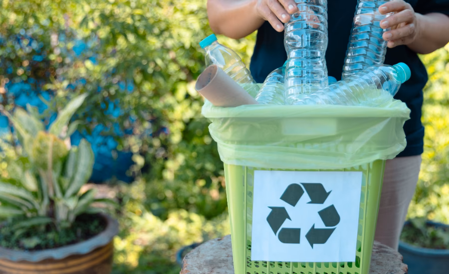 ¿Cómo puedes cuidar del Medio Ambiente?