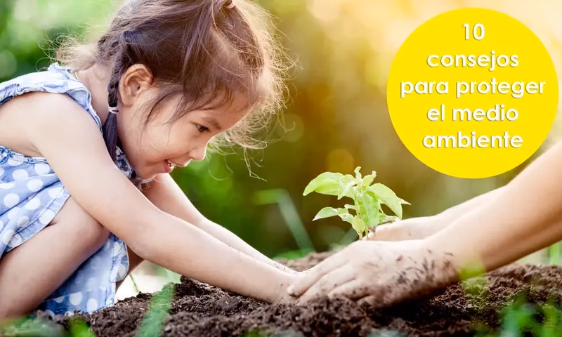 ¿Cuál es la relación entre el desarrollo económico y la preservación del Medio Ambiente?