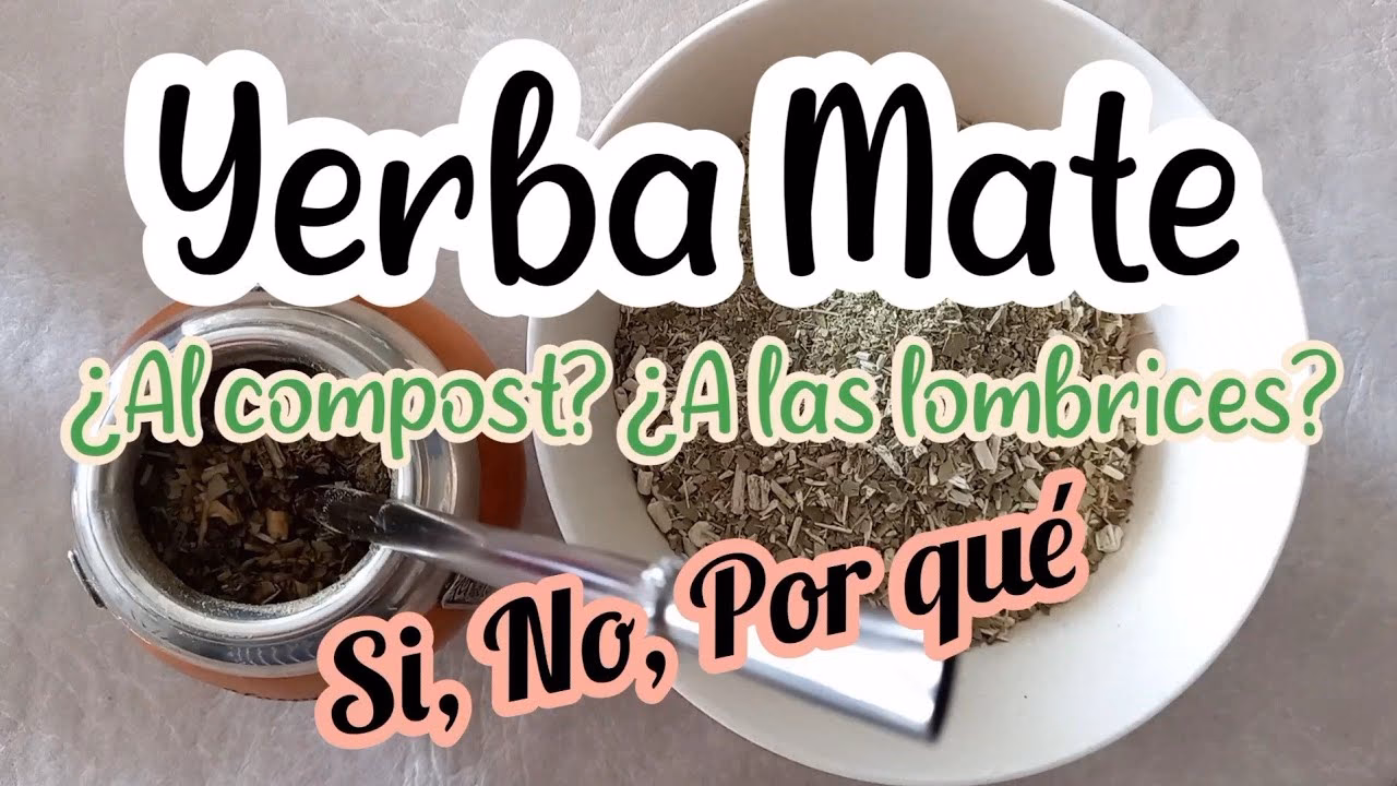 ¿Cómo se cosecha la yerba mate?