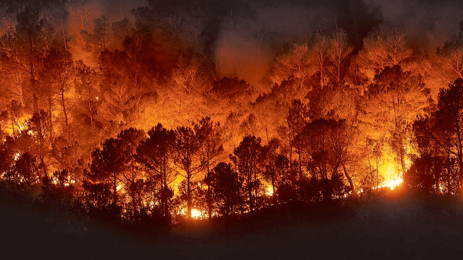 ¿Cuál es la influencia de los incendios en la concentración de contaminantes?
