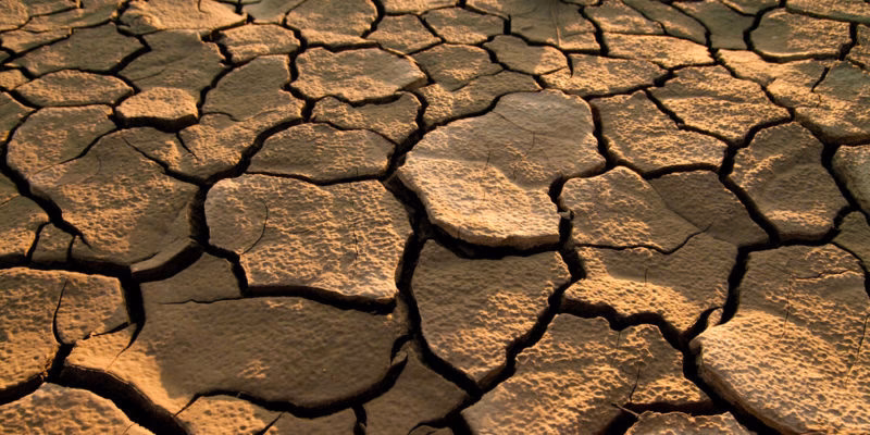 ¿Cómo afecta la deforestación y la erosión del suelo?