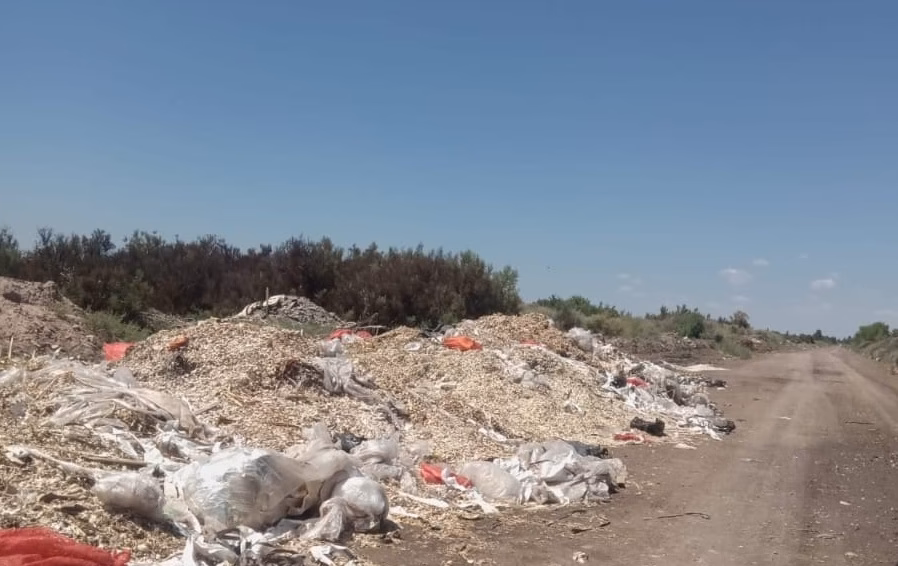 ¿Cuáles fueron los problemas de Mendoza?