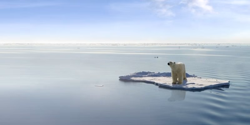 ¿Qué es la contaminación ambiental?