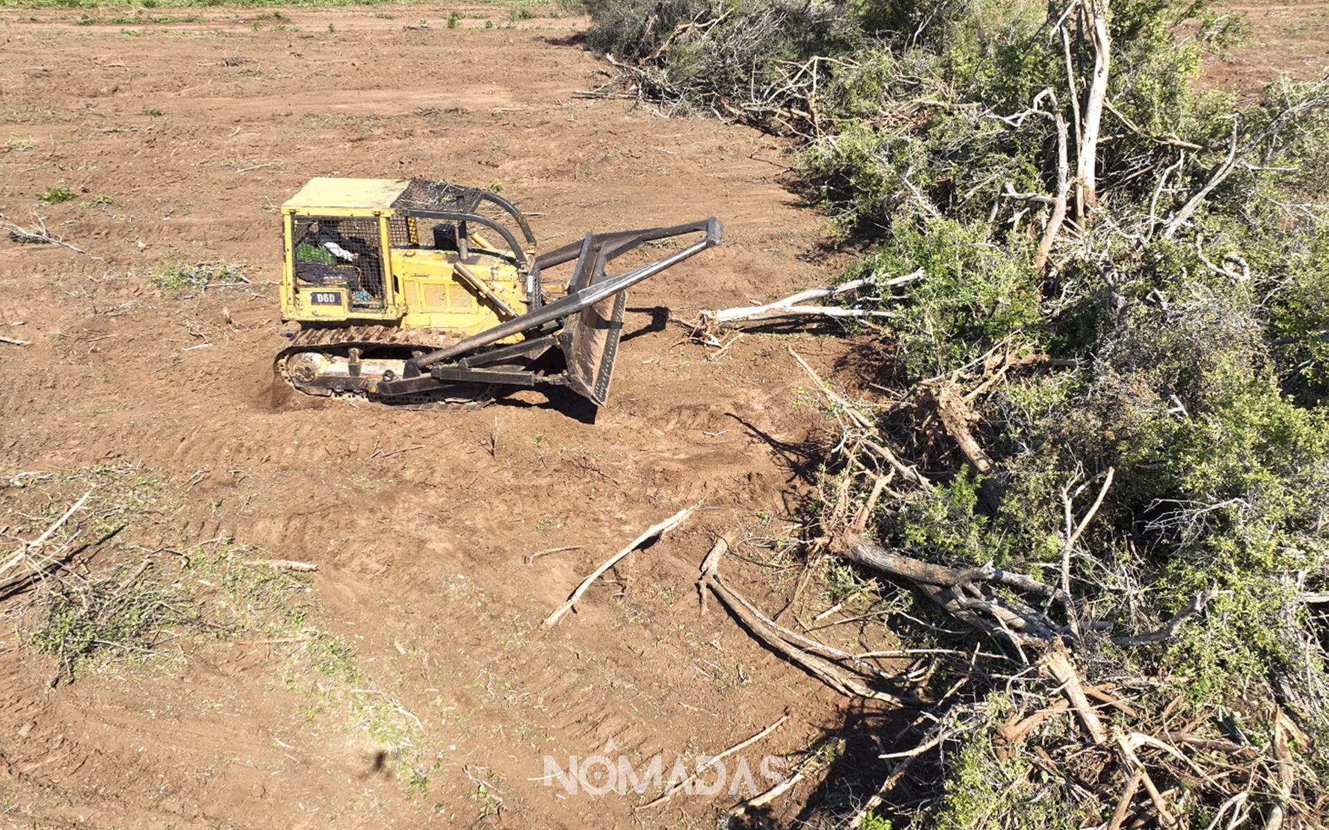 ¿Qué pasó con la deforestación en Bolivia?