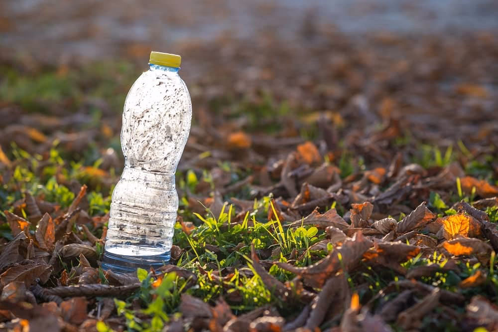 ¿Cuáles son los síntomas de los contaminantes del suelo?